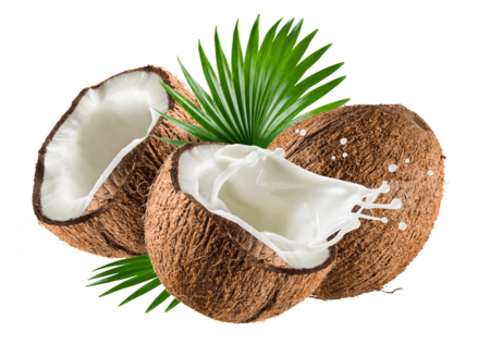 Продукция из кокоса